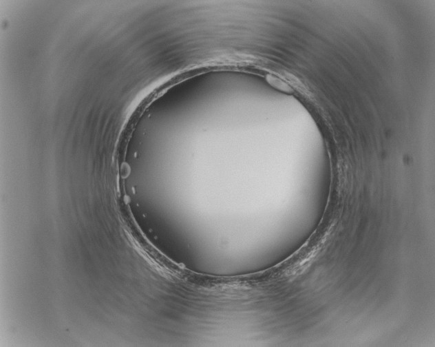 X0000069830838200606091444