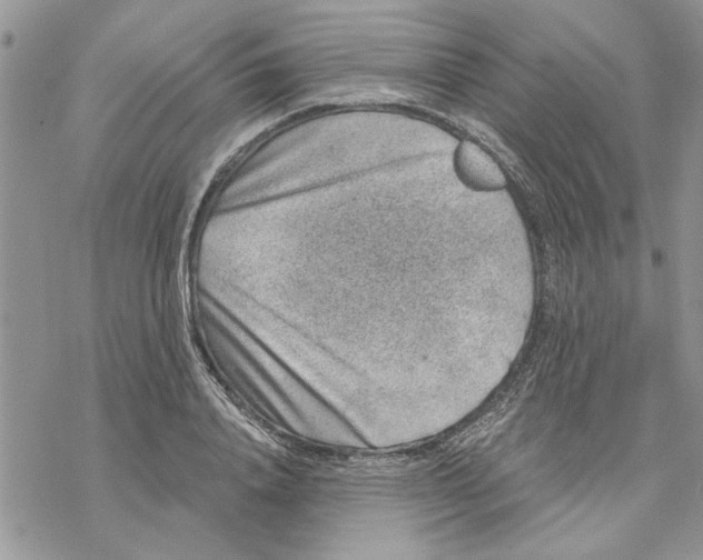 X0000069830840200606091444