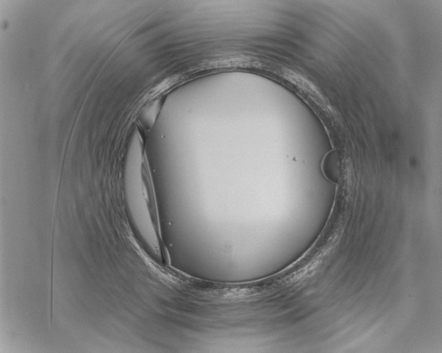 X0000069830841200606091444