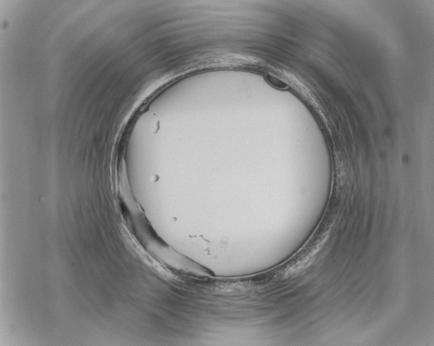 X0000069830843200606091444