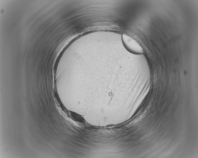 X0000069830844200606091444