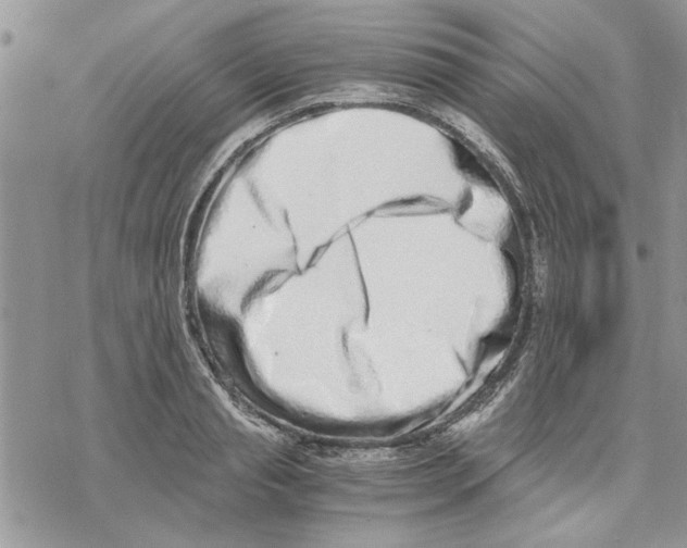 X0000069830845200606091444