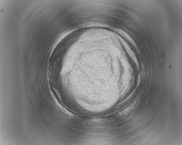 X0000069830847200606091444