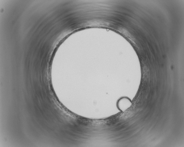 X0000069830848200606091444