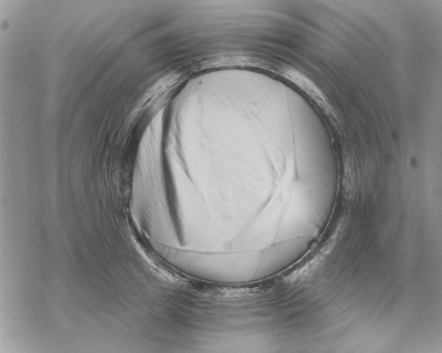 X0000069830849200606091444