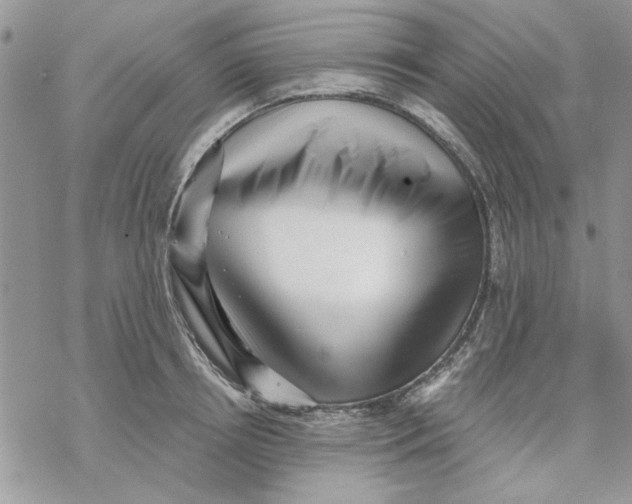 X0000069830850200606091444