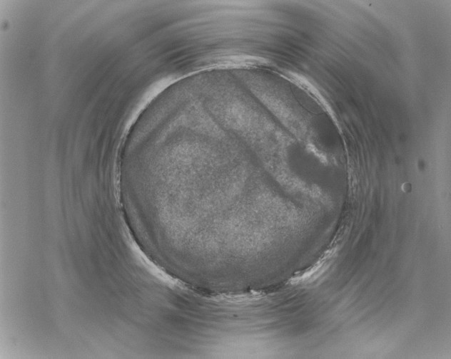 X0000069830851200606091444