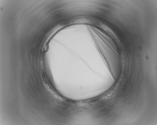 X0000069830852200606091444