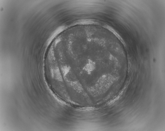 X0000069830853200606091444