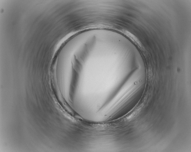 X0000069830854200606091444