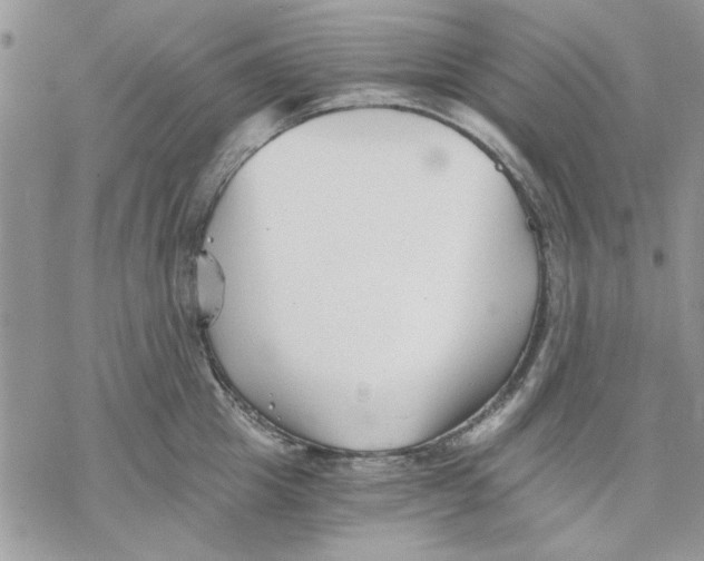 X0000069830857200606091444