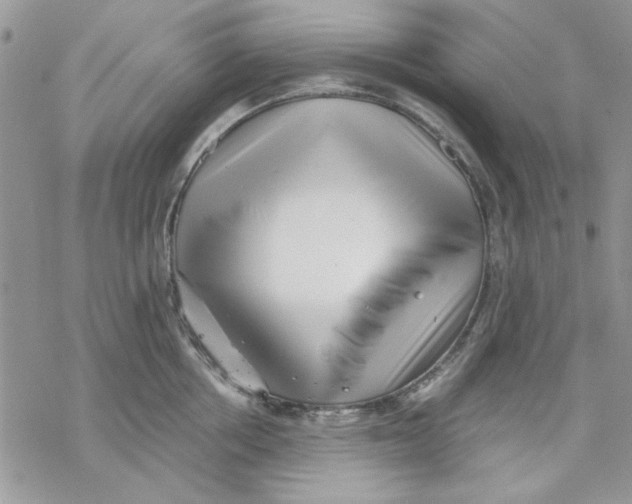 X0000069830858200606091444