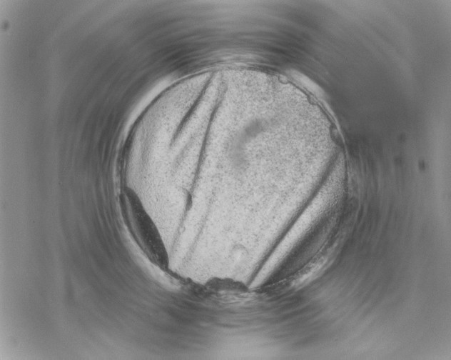 X0000069830859200606091444