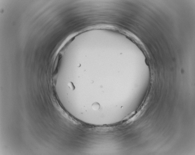 X0000069830860200606091444