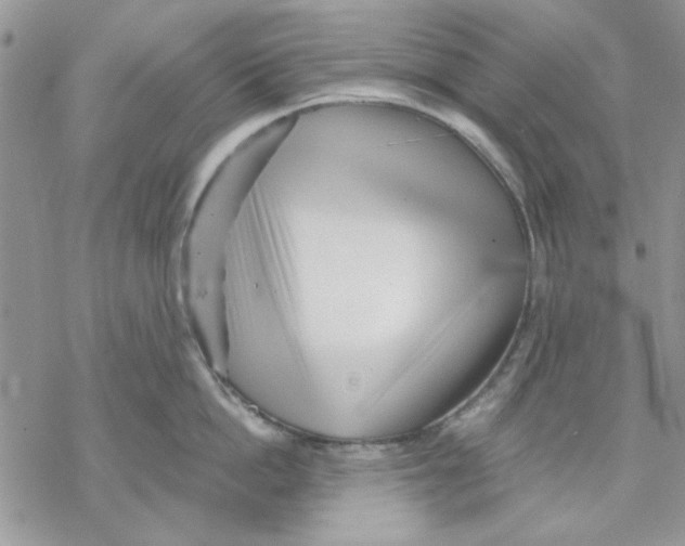 X0000069830862200606091444