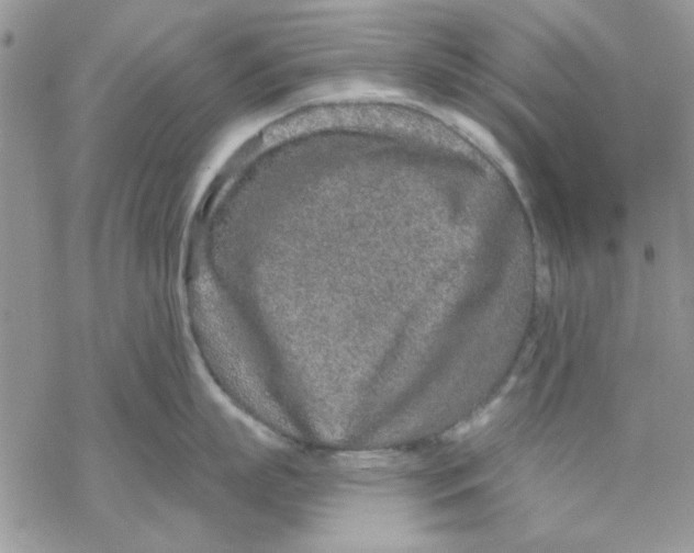 X0000069830863200606091444