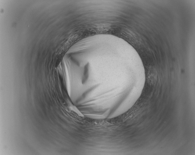 X0000069830866200606091443