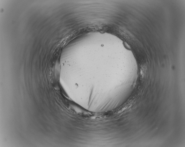 X0000069830867200606091443