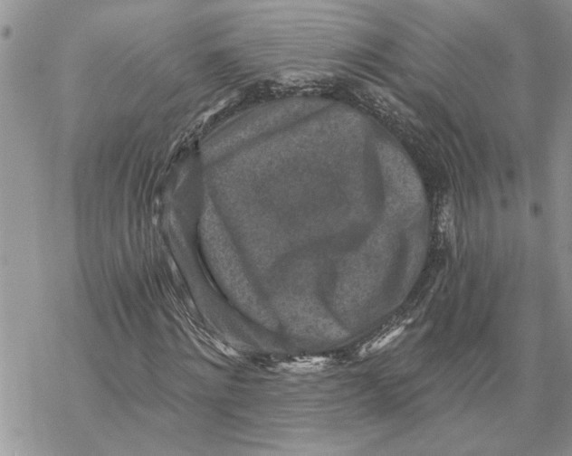 X0000069830868200606091443