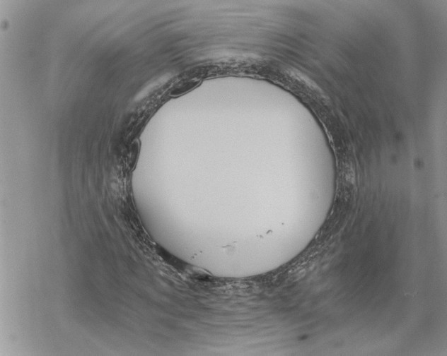 X0000069830869200606091443