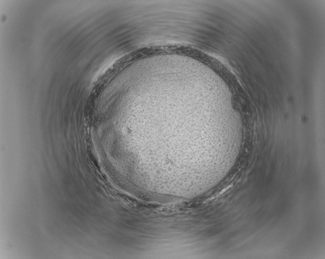 X0000069830871200606091443