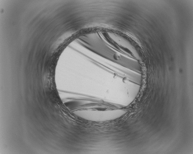 X0000069830872200606091443