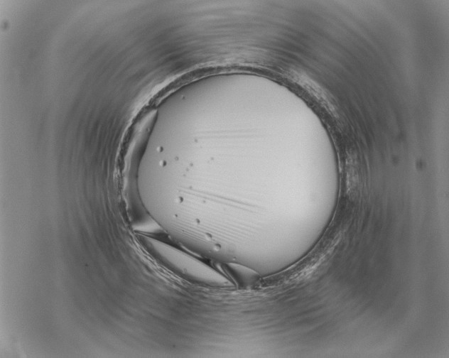 X0000069830876200606091443