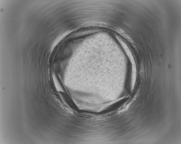 X0000069830877200606091443