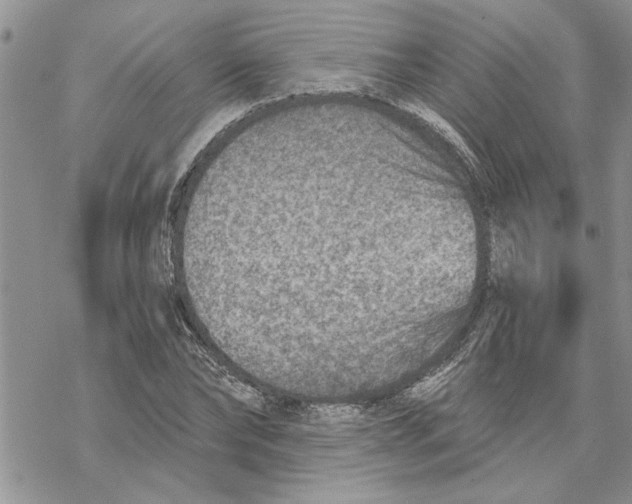 X0000069830878200606091443