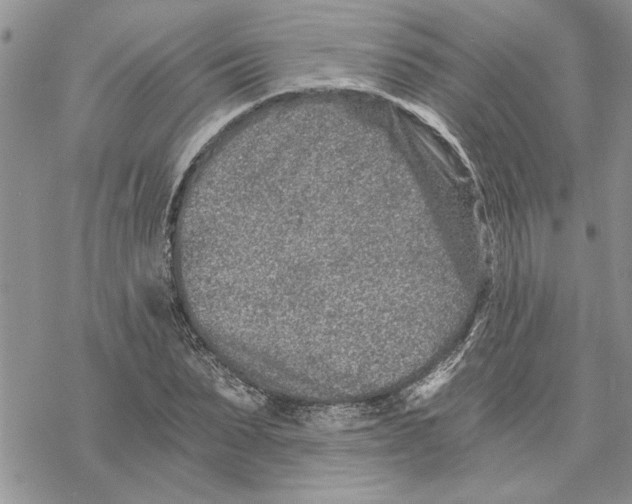 X0000069830879200606091443