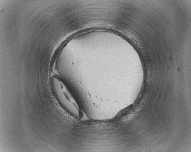 X0000069830880200606091443