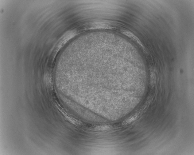 X0000069830882200606091443