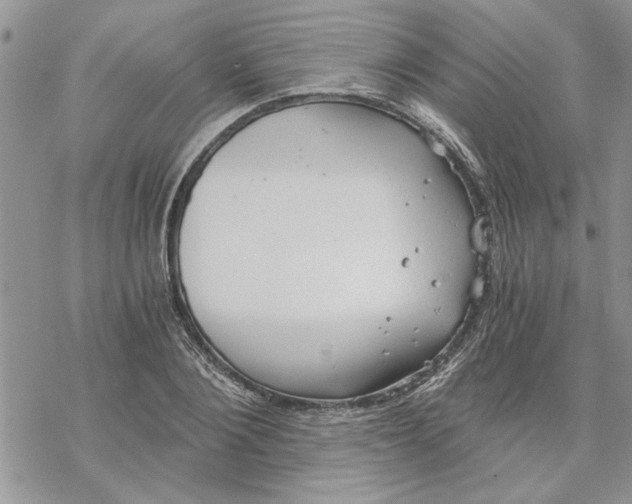 X0000069830884200606091443