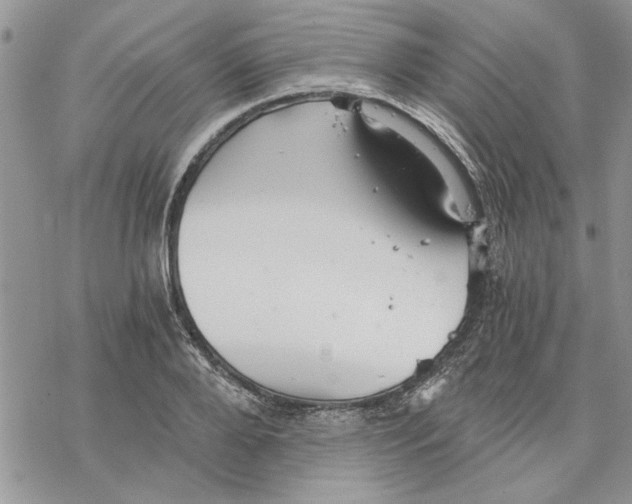 X0000069830888200606091443