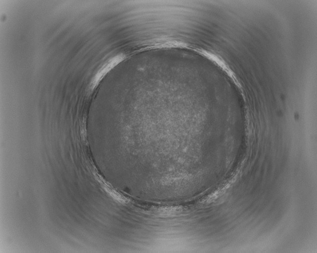 X0000069830889200606091443