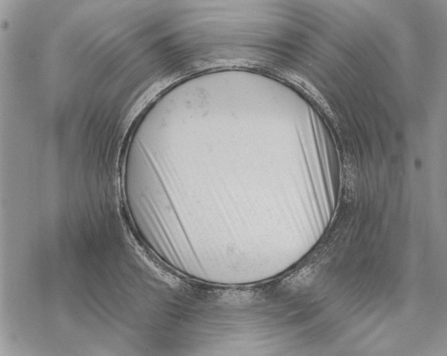 X0000069830890200606091443