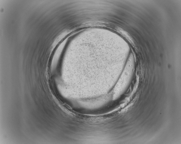 X0000069830893200606091443