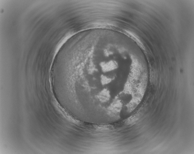 X0000069830899200606091443