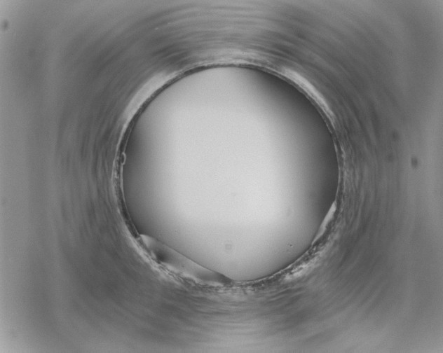 X0000069830901200606091443