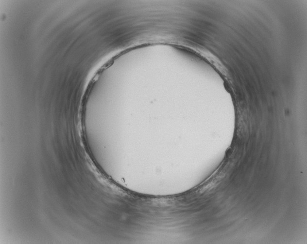 X0000069830904200606091443