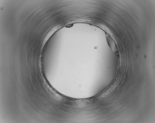 X0000069830906200606091443