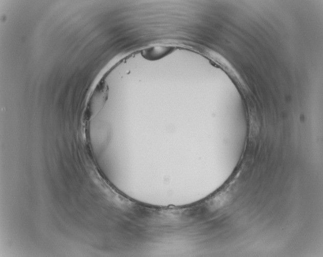 X0000069830908200606091443