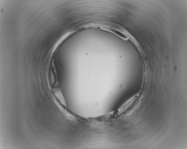 X0000069830909200606091443