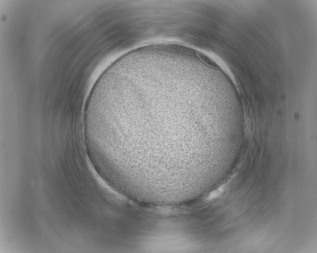 X0000069830911200606091443