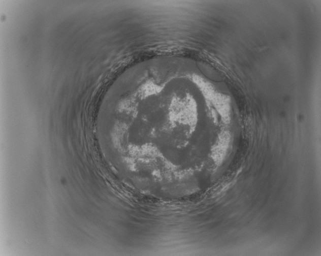 X0000069830913200606091442