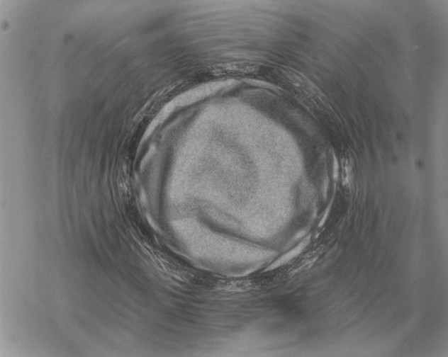 X0000069830915200606091442