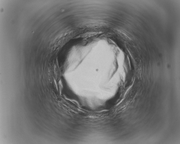 X0000069830917200606091442