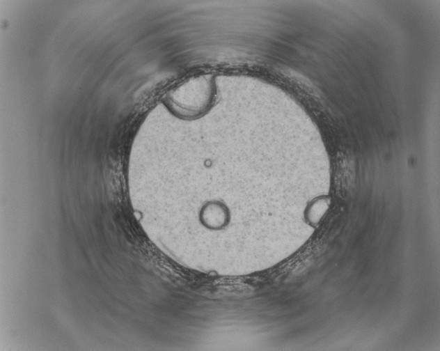 X0000069830918200606091442