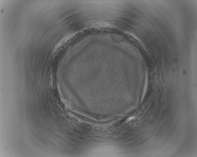 X0000069830919200606091442