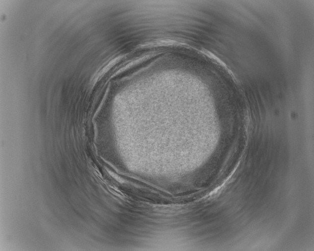 X0000069830921200606091442